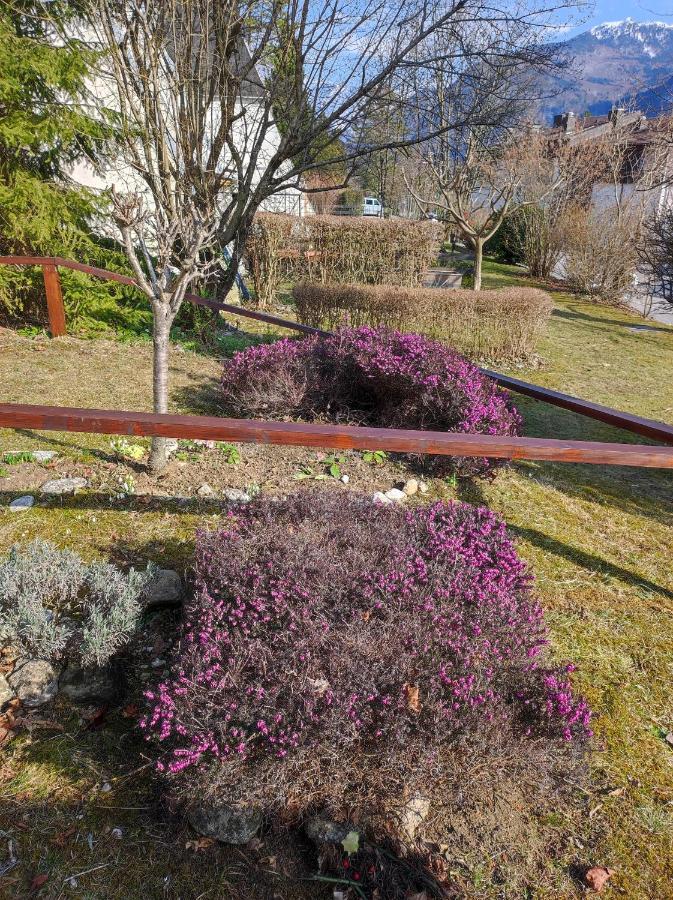 Apartment Mojca Bovec Dış mekan fotoğraf
